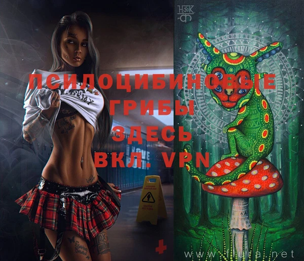 эйфоретик Инсар