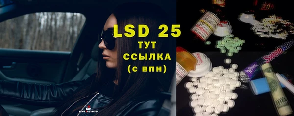 эйфоретик Инсар