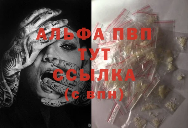 эйфоретик Инсар