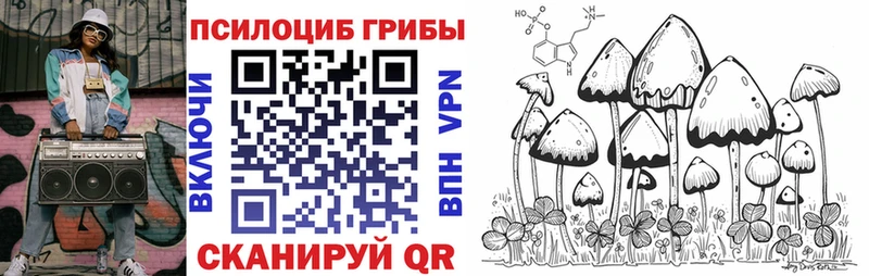 Галлюциногенные грибы Cubensis  Купить закладки  Пугачёв 